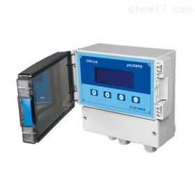 中核CN111-A中文型工业ph仪表